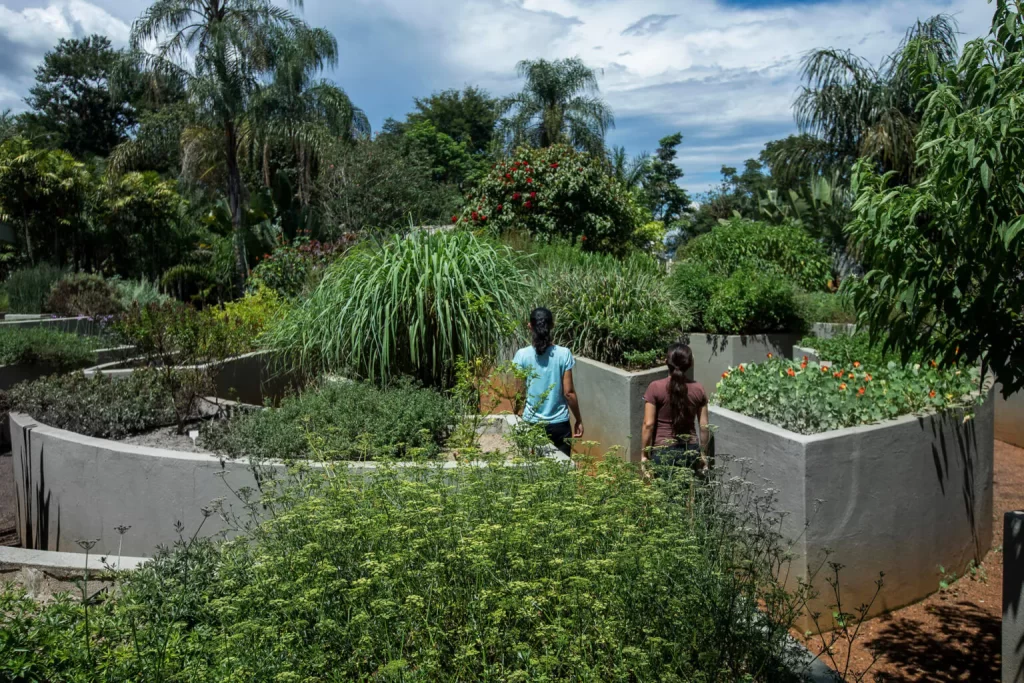 Inhotim - jardim-temático-de Todos-os- Sentidos. Foto João MarcosJ/Niltro